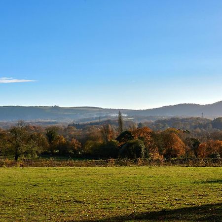 Garden Flat Near Goodwood With Stunning Views Lägenhet Petersfield Exteriör bild