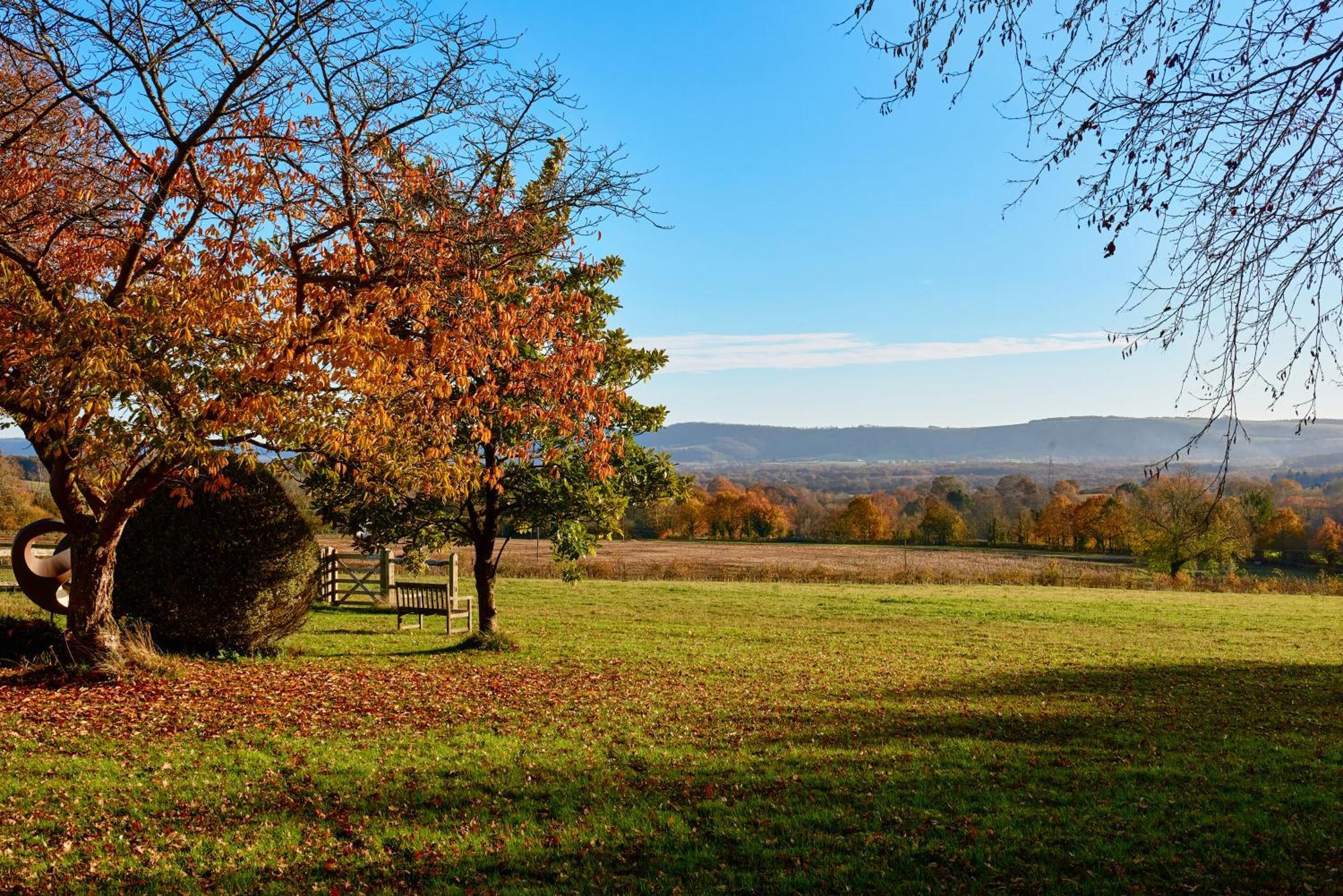 Garden Flat Near Goodwood With Stunning Views Lägenhet Petersfield Exteriör bild